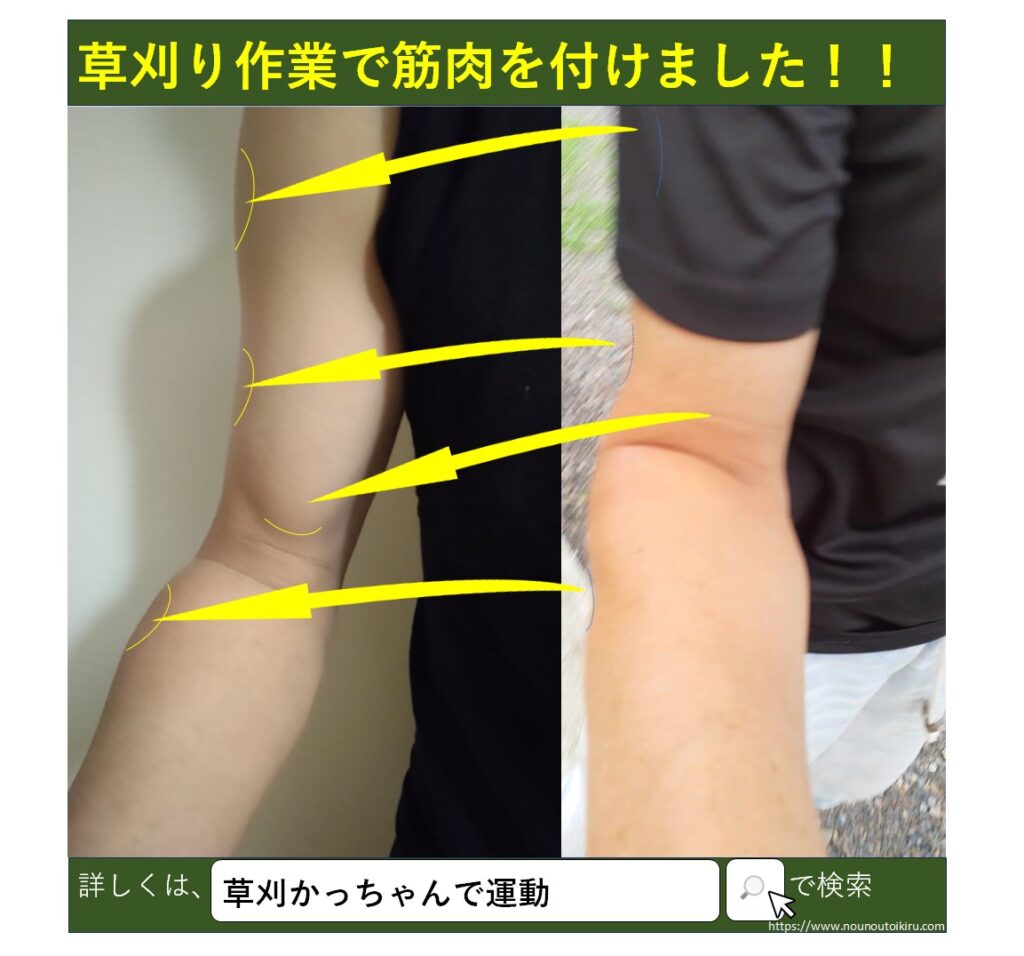 草刈り作業で筋肉がついた