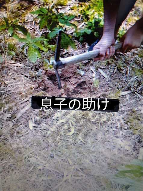息子の助け