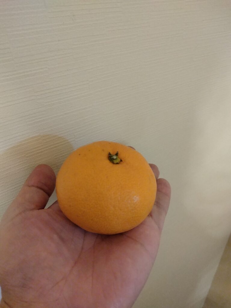 取引先の身体を動かすのが困難な状況の方にいただいたみかんです。