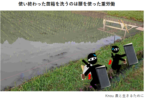 これまでの苗箱洗浄方法
