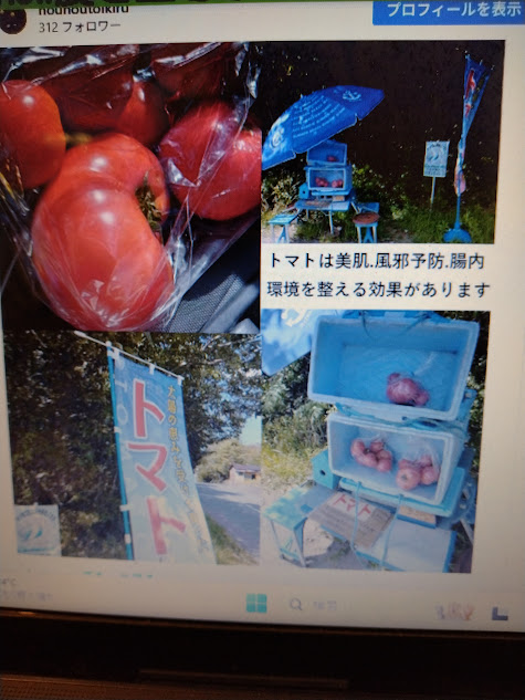 野菜の無人販売