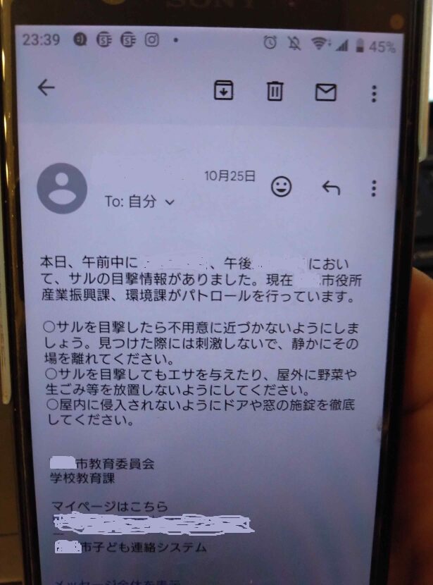 野生動物の出没