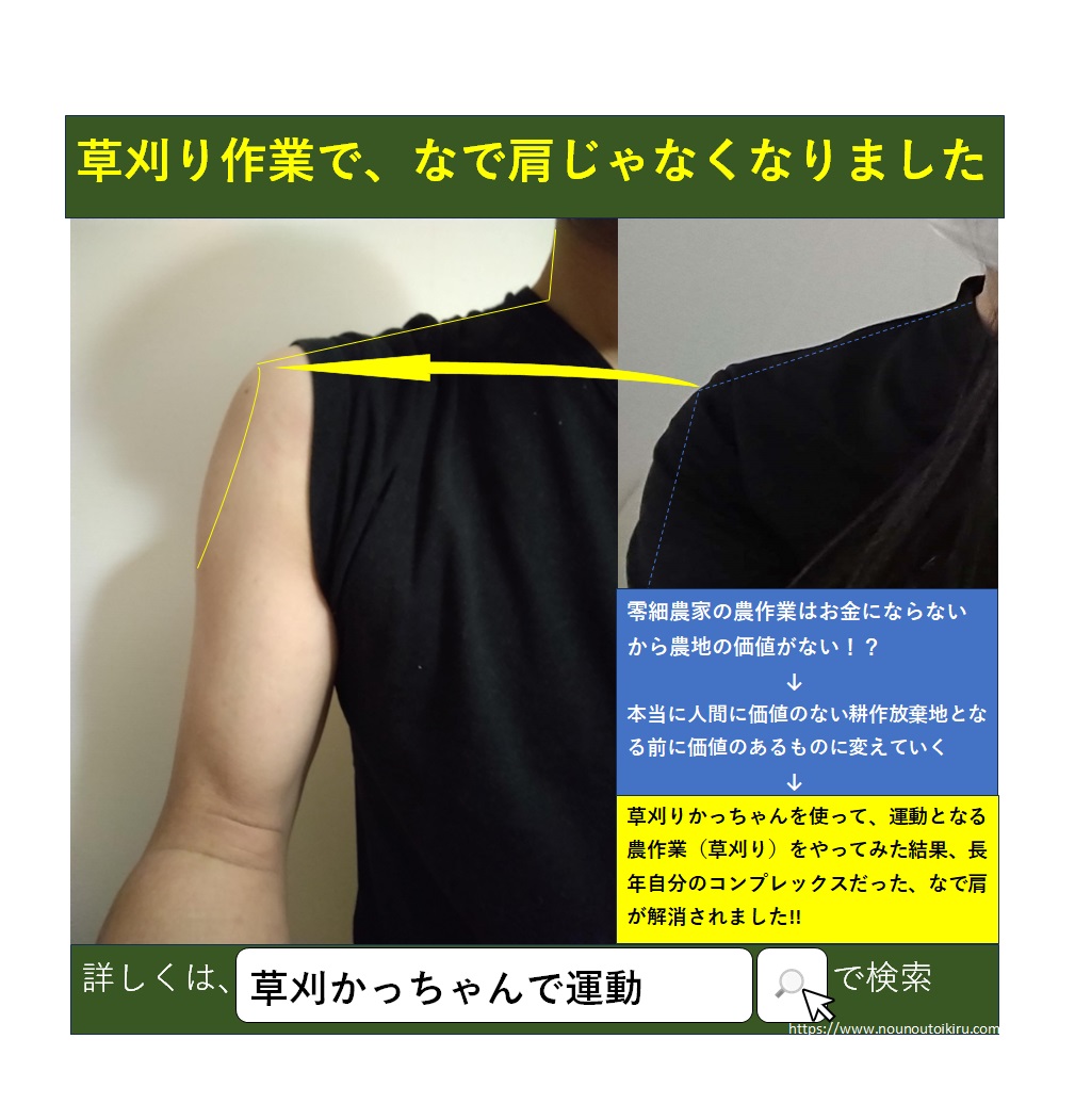 草刈り作業で肩に筋肉がついた結果