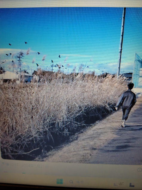 私と息子が通りかかった田んぼの畦道から鳥が舞い上がります。