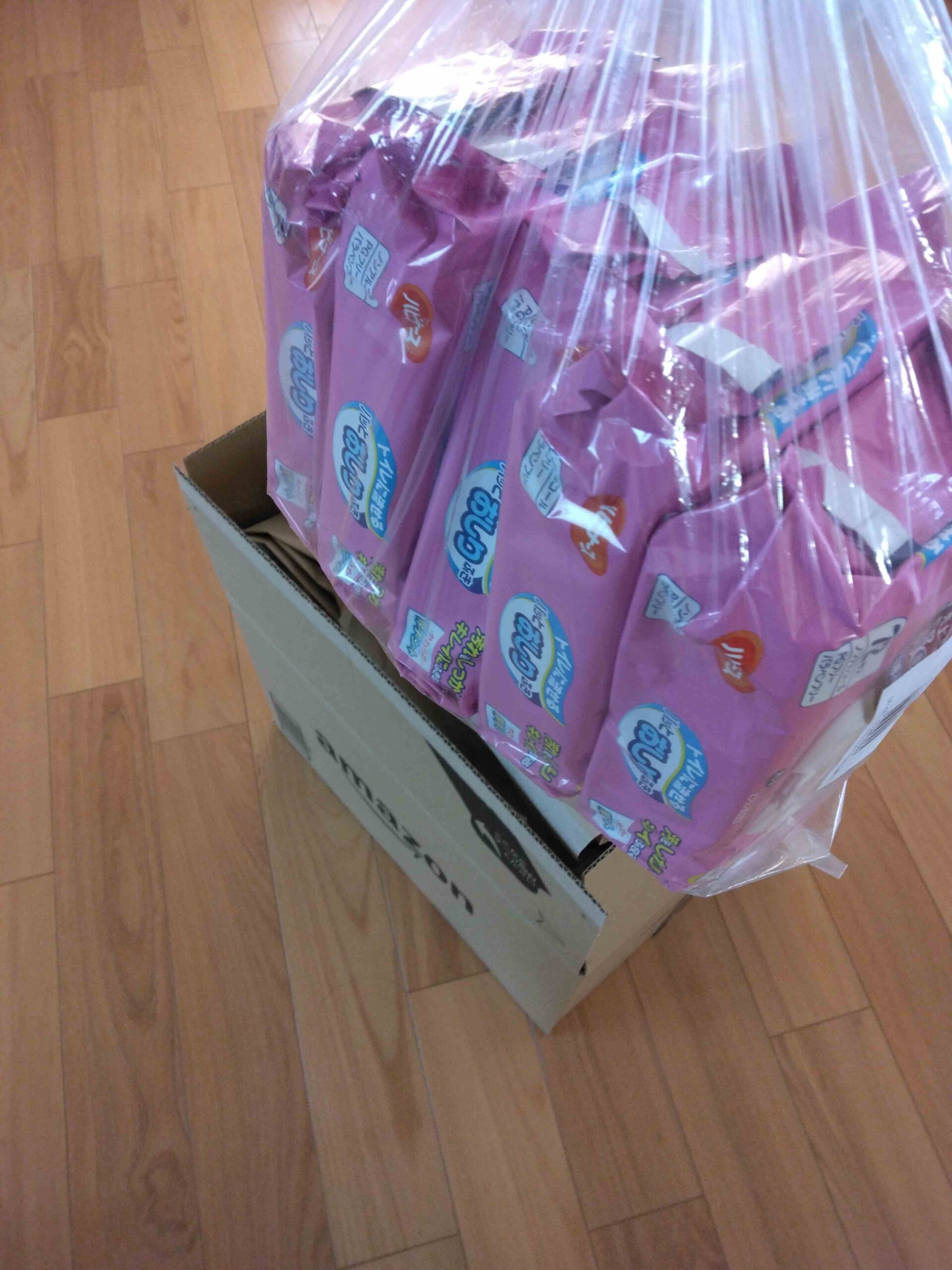 袋の状態で箱に入っています