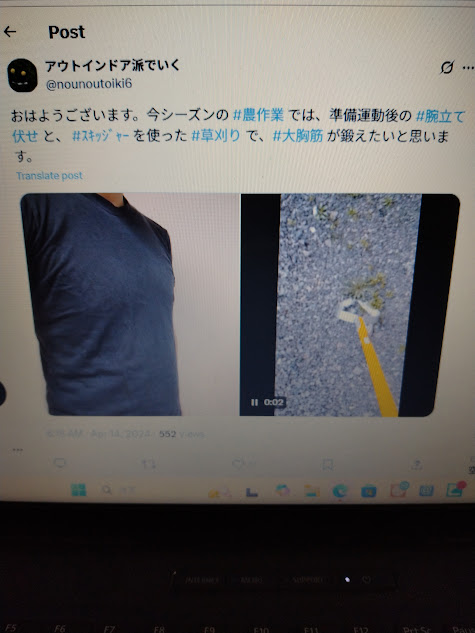 草を取りながら大胸筋を鍛える試み