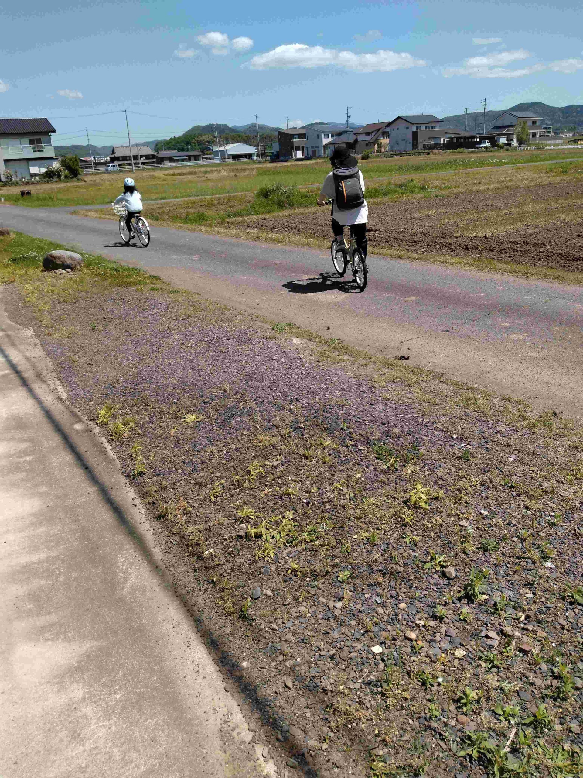 トウリト保冷リュックでお買い物
