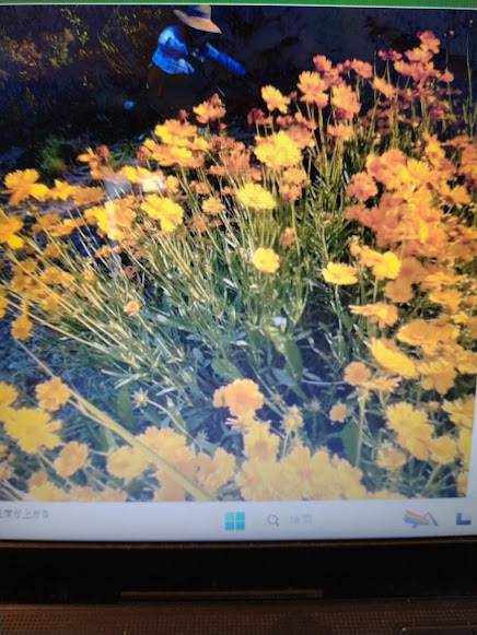 痛みを抱える前の母