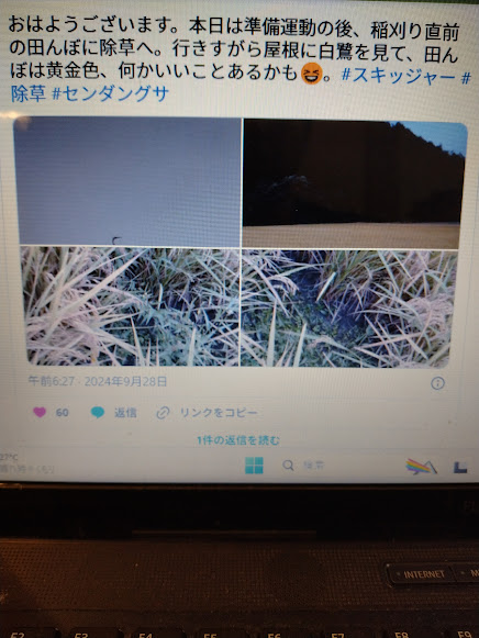 サギが何かを暗示するかのように登場しました