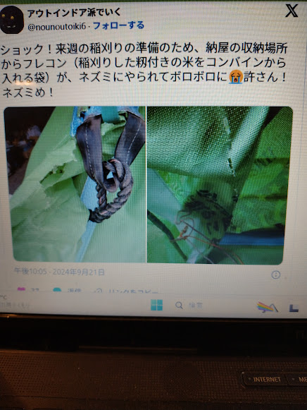 フレコンのねずみ被害