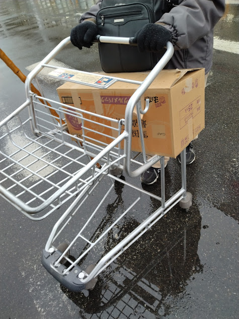 スーパーのカートを支え代わりに活用する父