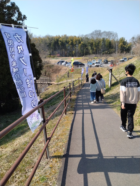可児市カタクリまつり