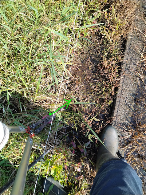左メインで草刈りのため右側の草に対しては少し腰を入れて刃先を左から入れて刈り取る