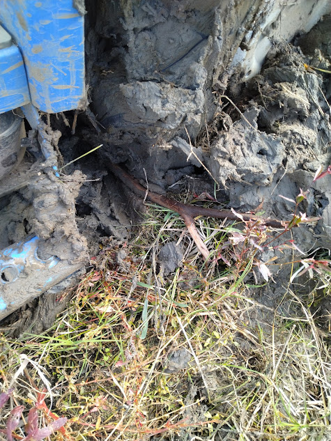 タイヤ半分が泥に埋まったトラクター