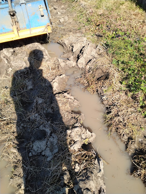 畔脇のタイヤ痕に溜まった雨水