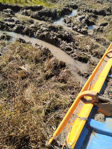タイヤ痕に溜まった雨水