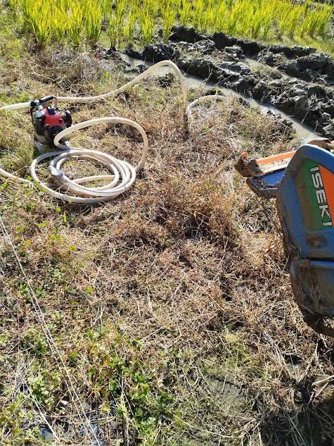 我が家の灌水ポンプ