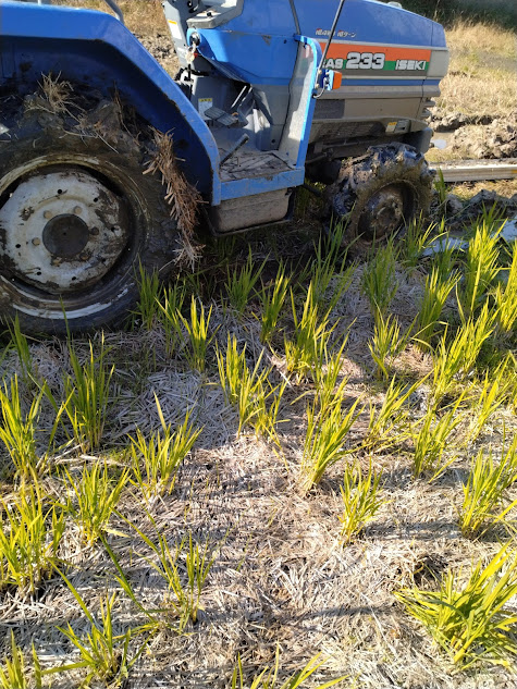 あと少しで緩い地盤から抜け出す位置にあるトラクター