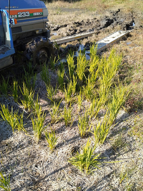 緩い地盤から抜け出したトラクター