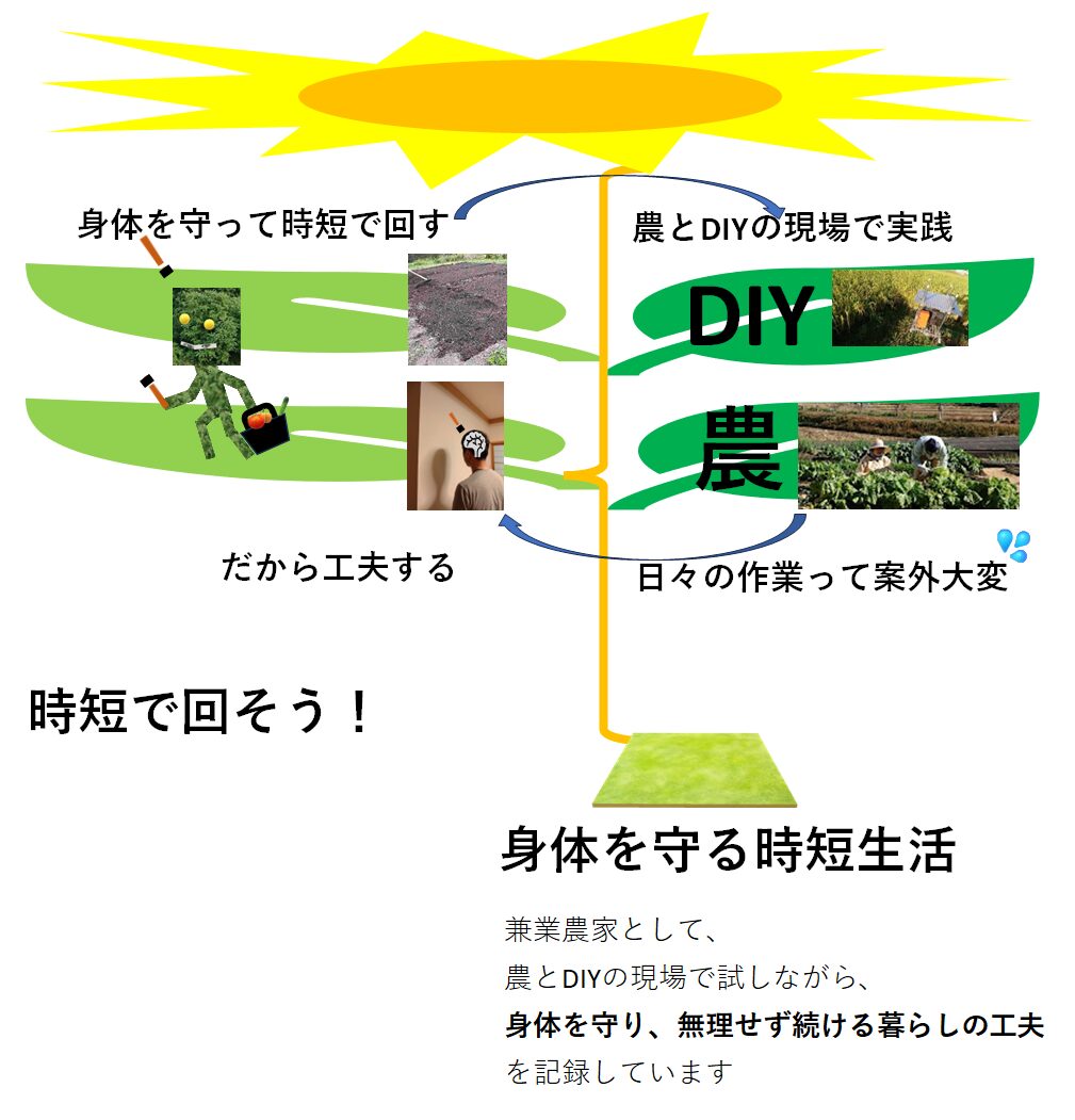 身体を守る時短生活