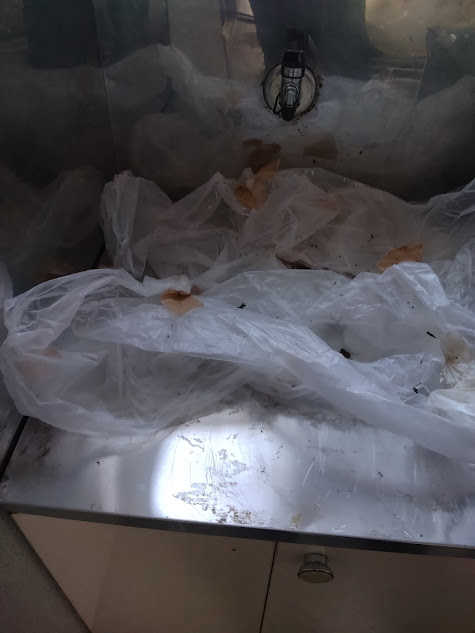 汚れ防止の養生