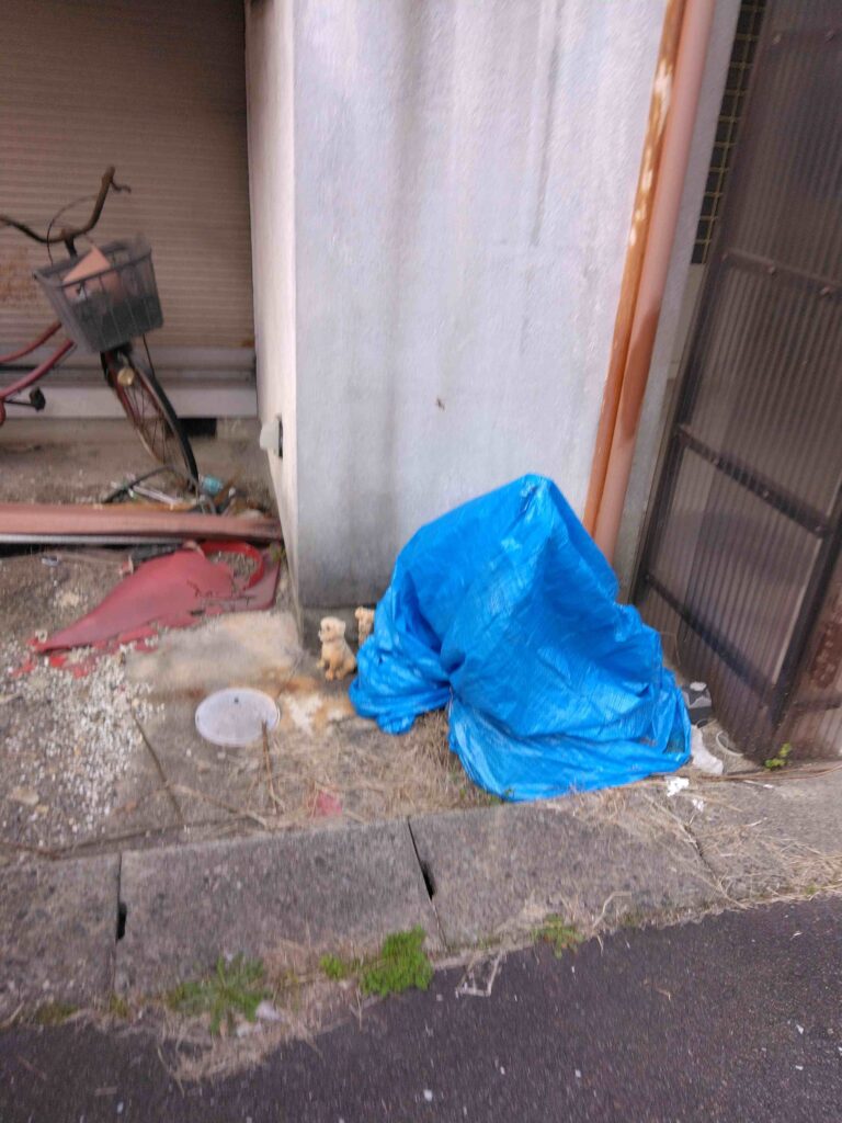 蜂が巣を作らんばかりにたむろっている隣地の空家の庭先