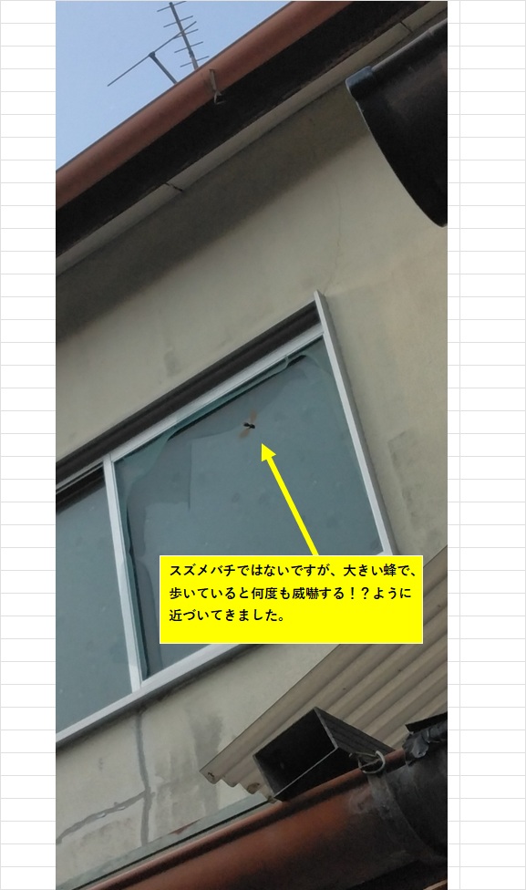 市役所を通じて隣地の空家に蜂の巣が作られないよう策を講じて欲しいと家主にメールした際添付した写真