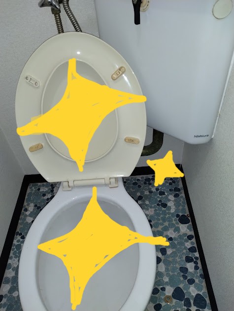 トイレクイックル等を使い便座中あるいは床も含め徹底的に清掃すれば、細かな部分もためらいなくチェックできます。