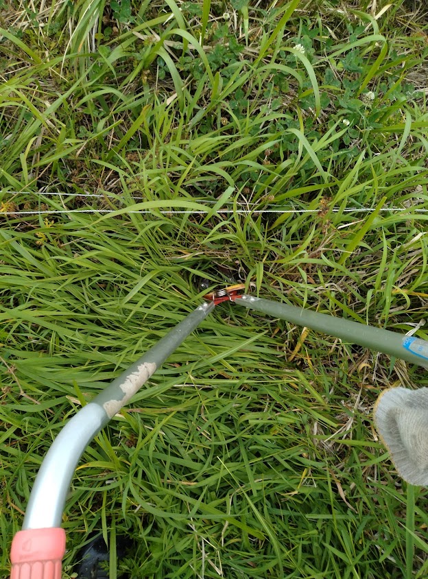 電気柵のような障害物のあるところでも力を発揮する、草刈かっちゃん