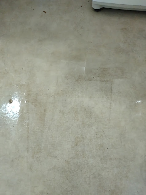 行き場を失った排水は脱衣所の床に広がった