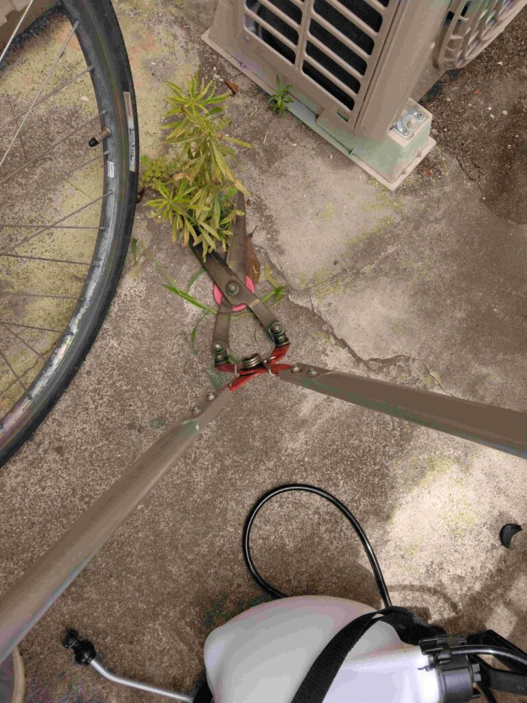 物件での草刈かっちゃんでの草刈りの様子