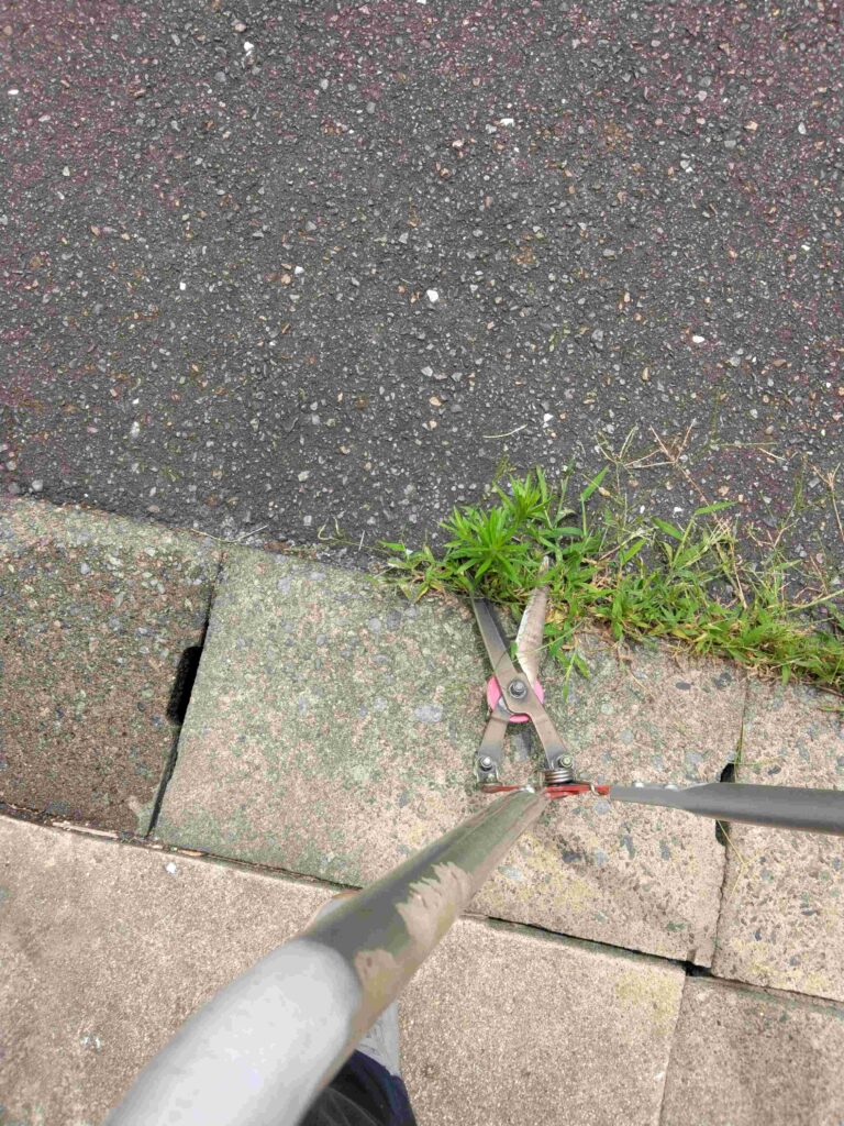 真昼間の炎天下の中草刈り