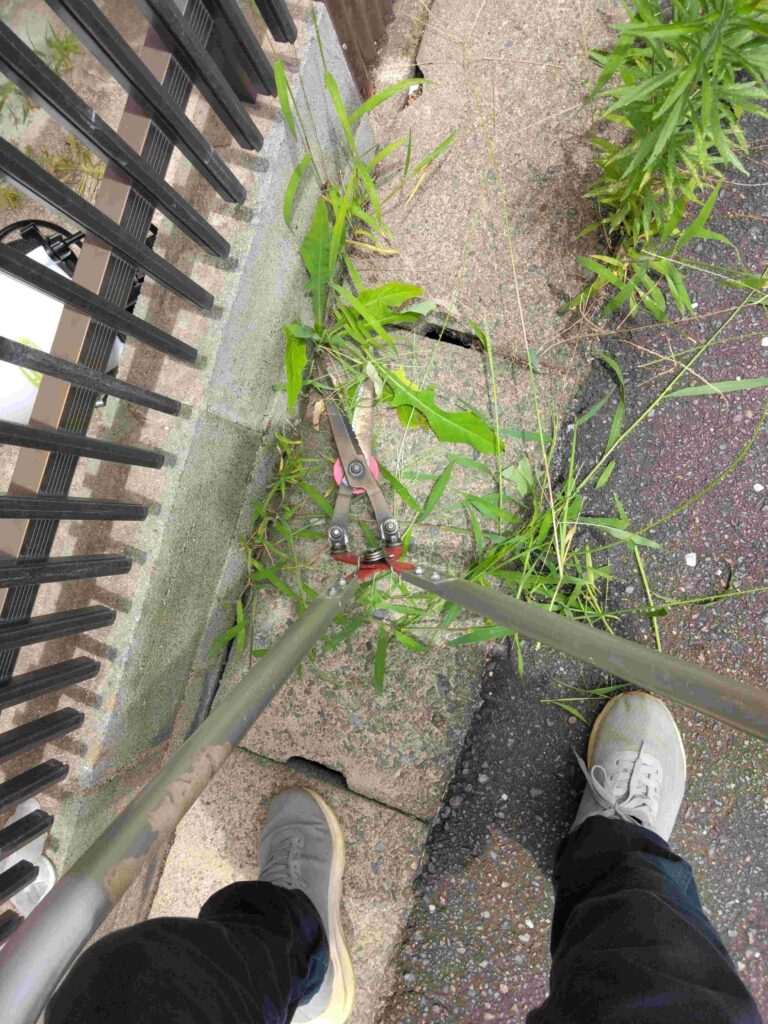 塀際の刈りにくい箇所を草刈かっちゃんで難なく草刈り
