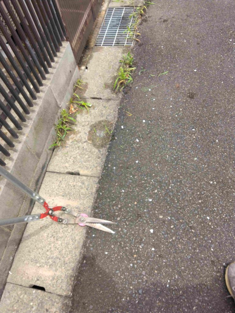 物件前で草刈り後の草刈かっちゃん