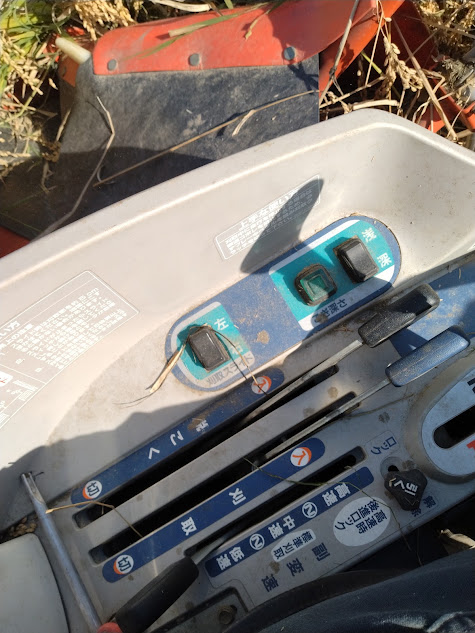 心に余裕ができたおかげで草が入り込んだりしてもこまめに深さを調整してトラブルを未然に防ぐ心持ちでいられました。