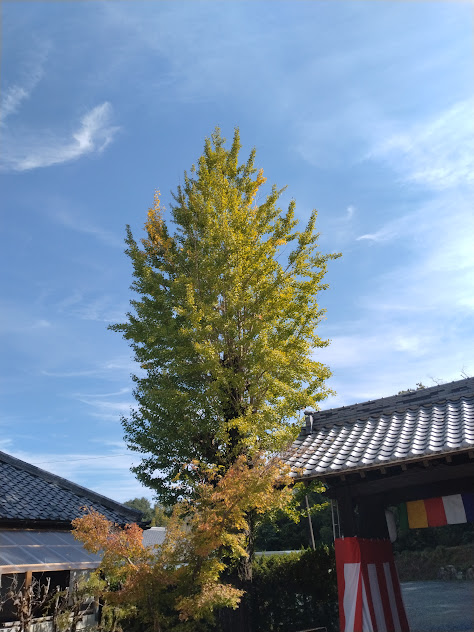地元のお寺のイベントの手伝い